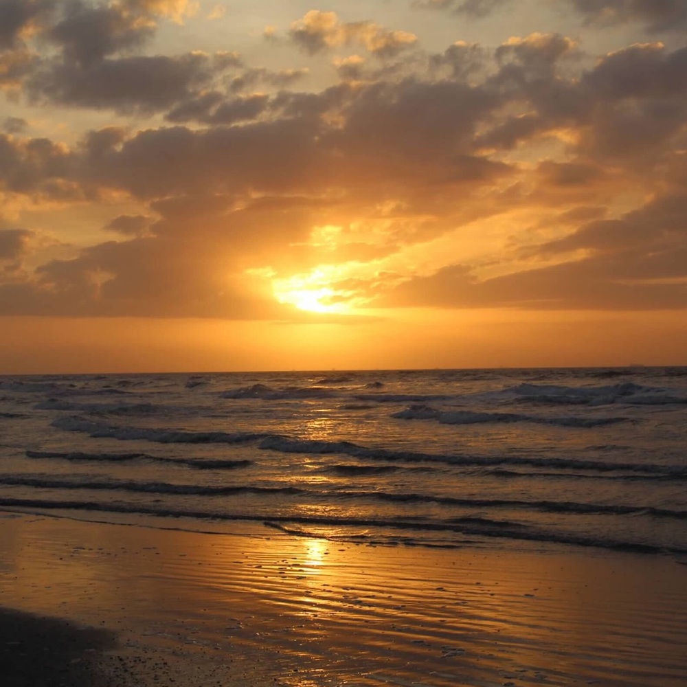 Meet your Posher, Claire